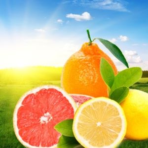 Early Sunrise Hand Poured Soy (6.5 oz) Candle